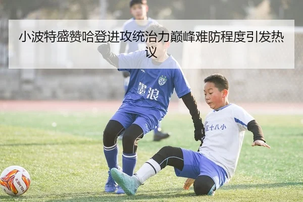 小波特盛赞哈登进攻统治力巅峰难防程度引发热议